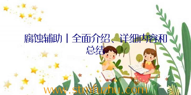 腐蚀辅助|全面介绍、详细内容和总结